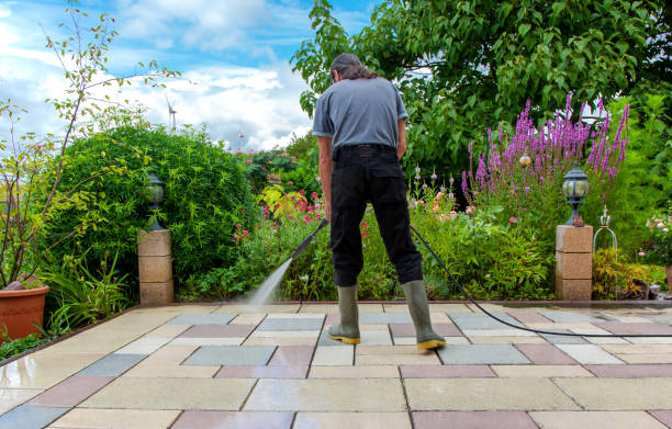 Best Pre-Holiday Cleaning  in Manton, MI